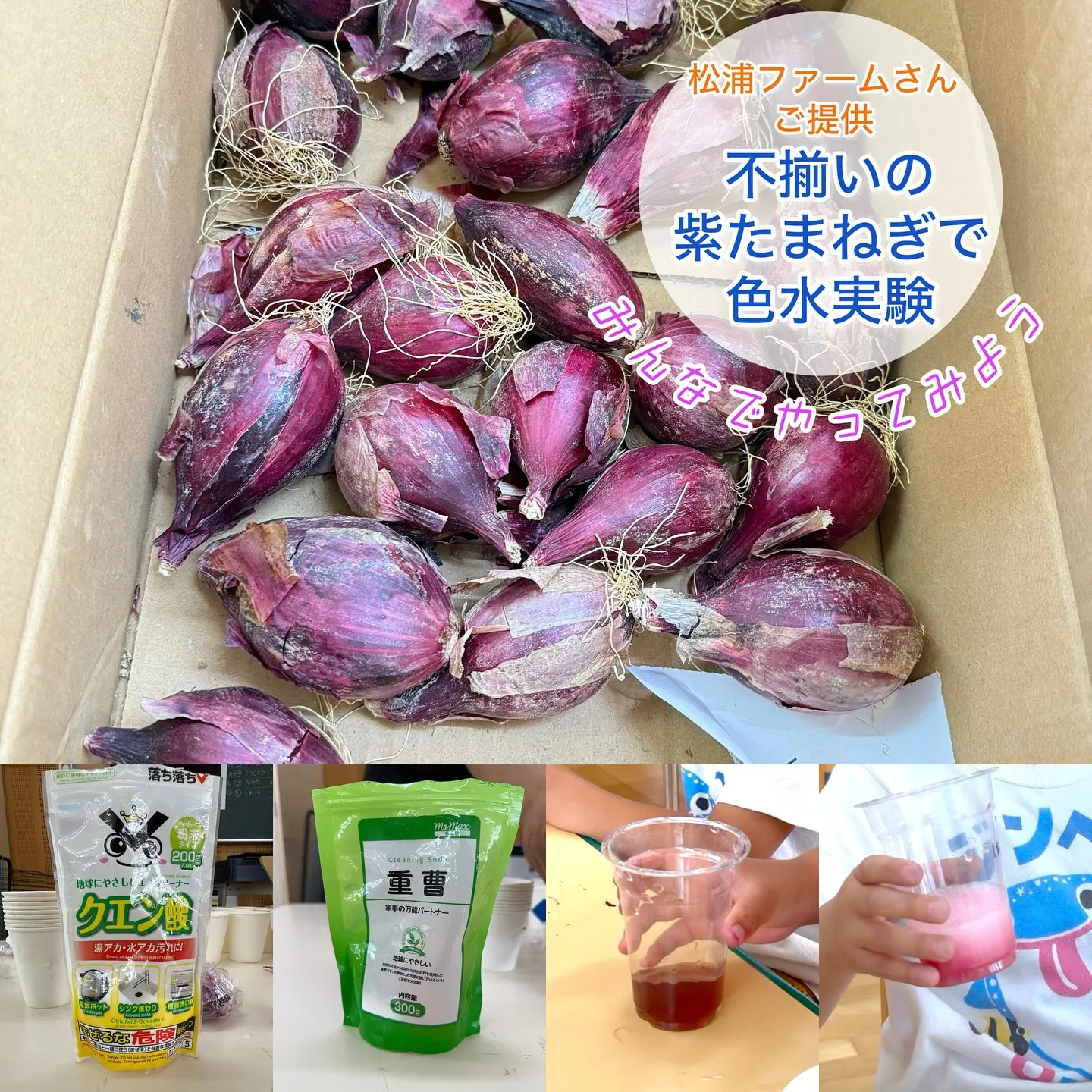 ✴︎高須保育園 実験遊び