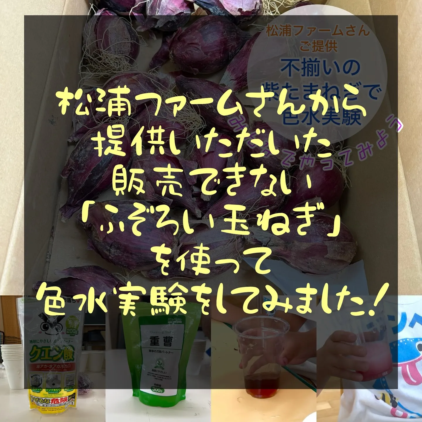 ✴︎高須保育園 実験遊び