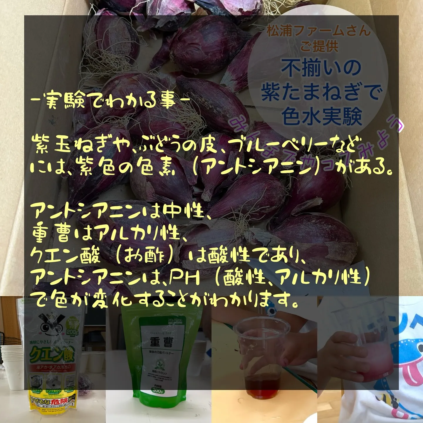 ✴︎高須保育園 実験遊び