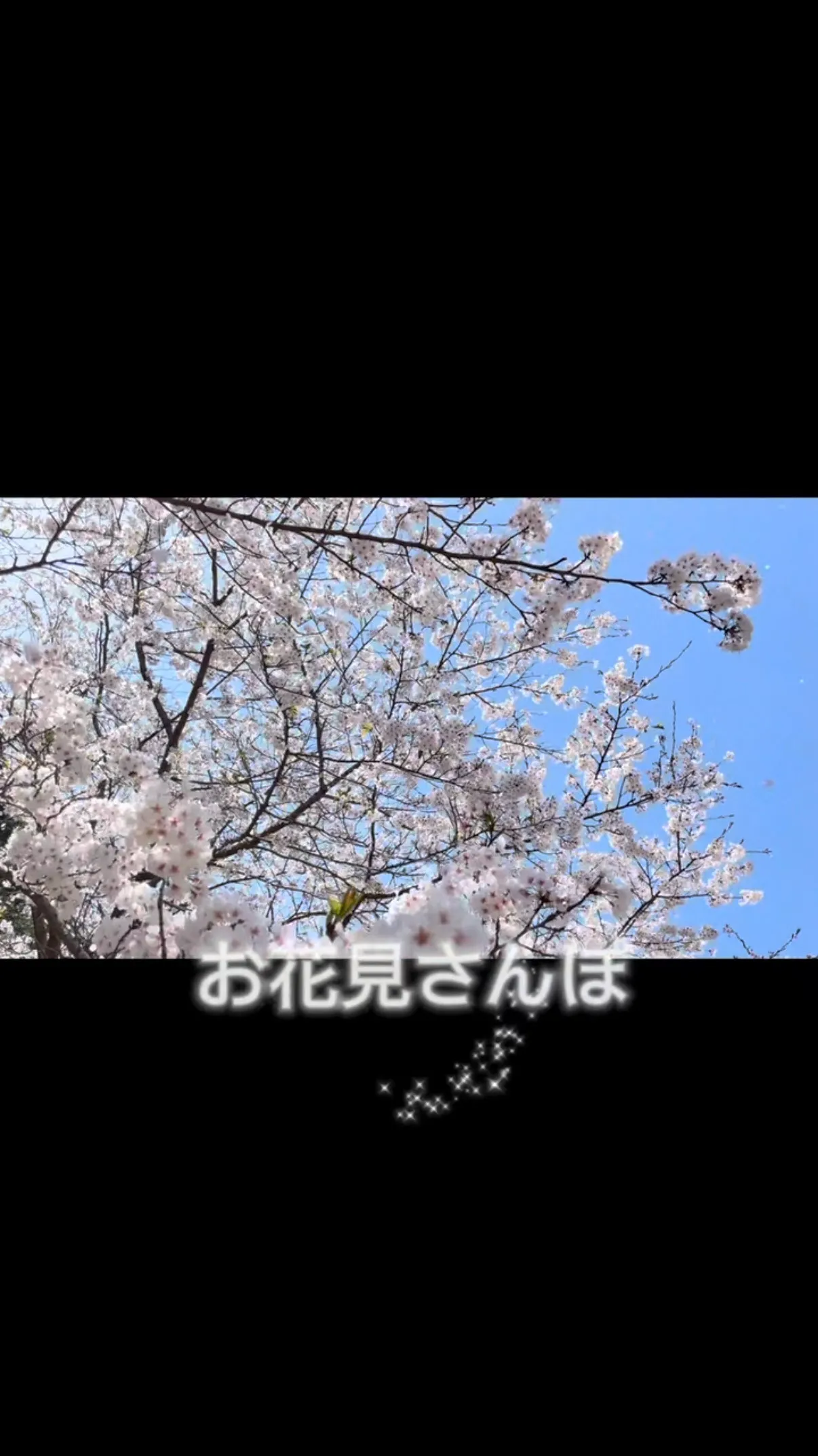 ✴︎高須保育園　お花見