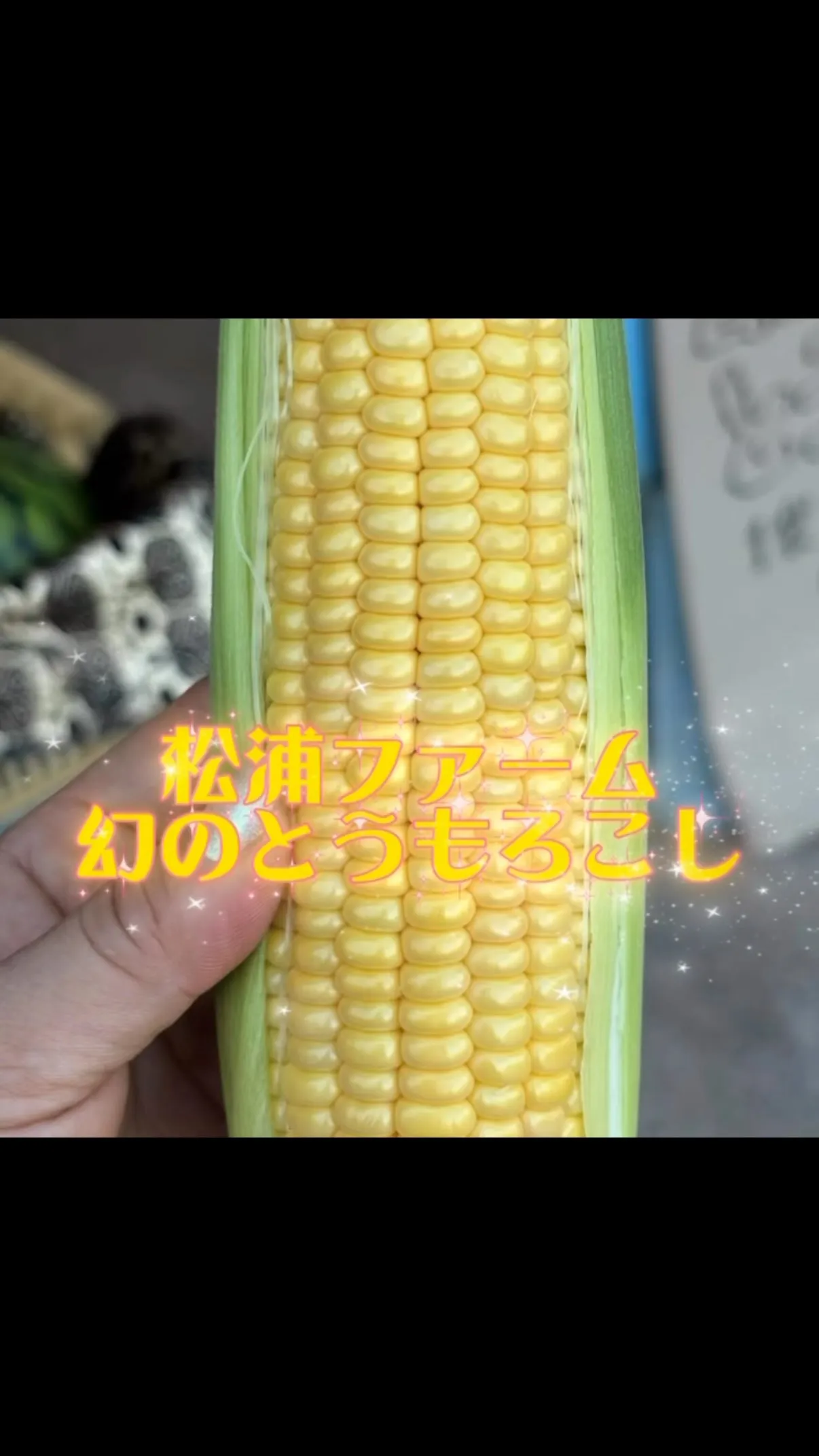 ✳︎とうもろこしの皮剥き⭐︎松浦ファーム