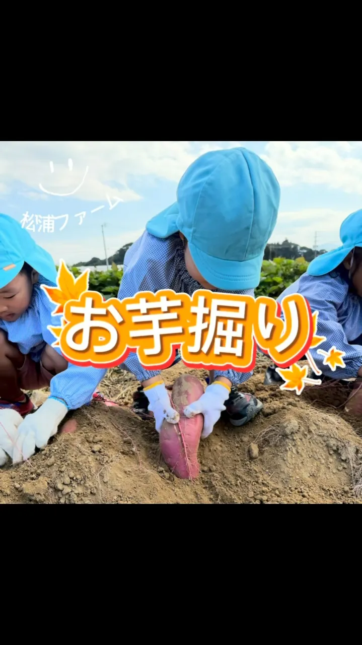 🍠🌱 秋の恵みを感じる！お芋掘り体験 🌱🍠